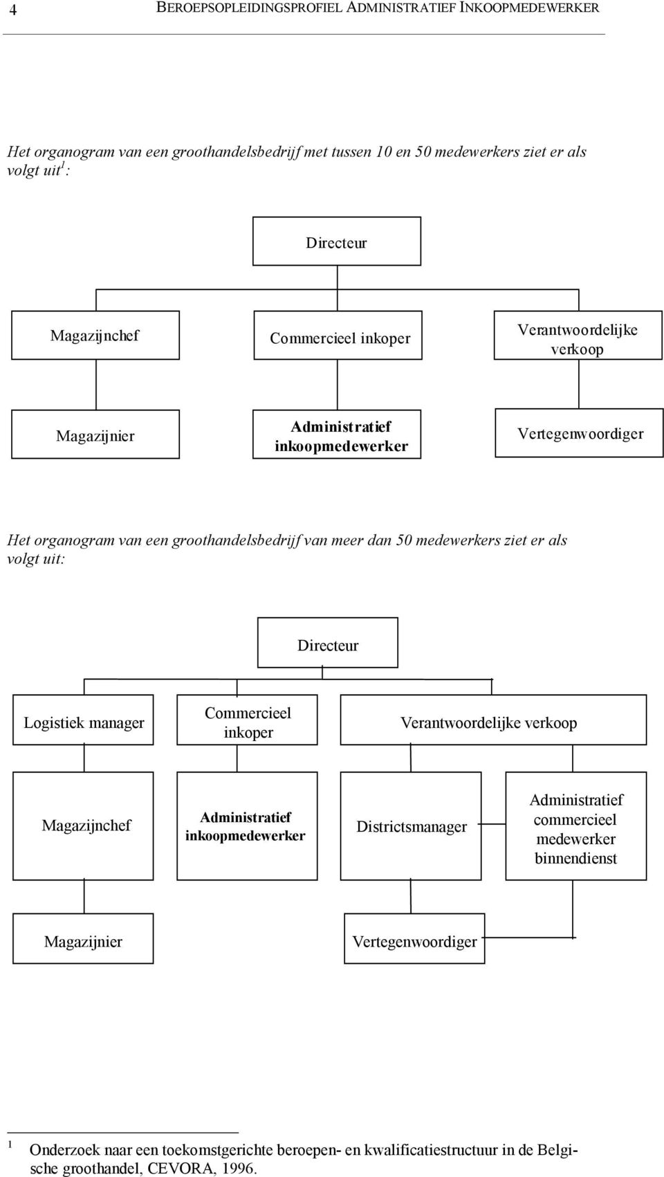 medewerkers ziet er als volgt uit: Directeur Logistiek manager Commercieel inkoper Verantwoordelijke verkoop Magazijnchef Administratief inkoopmedewerker Districtsmanager