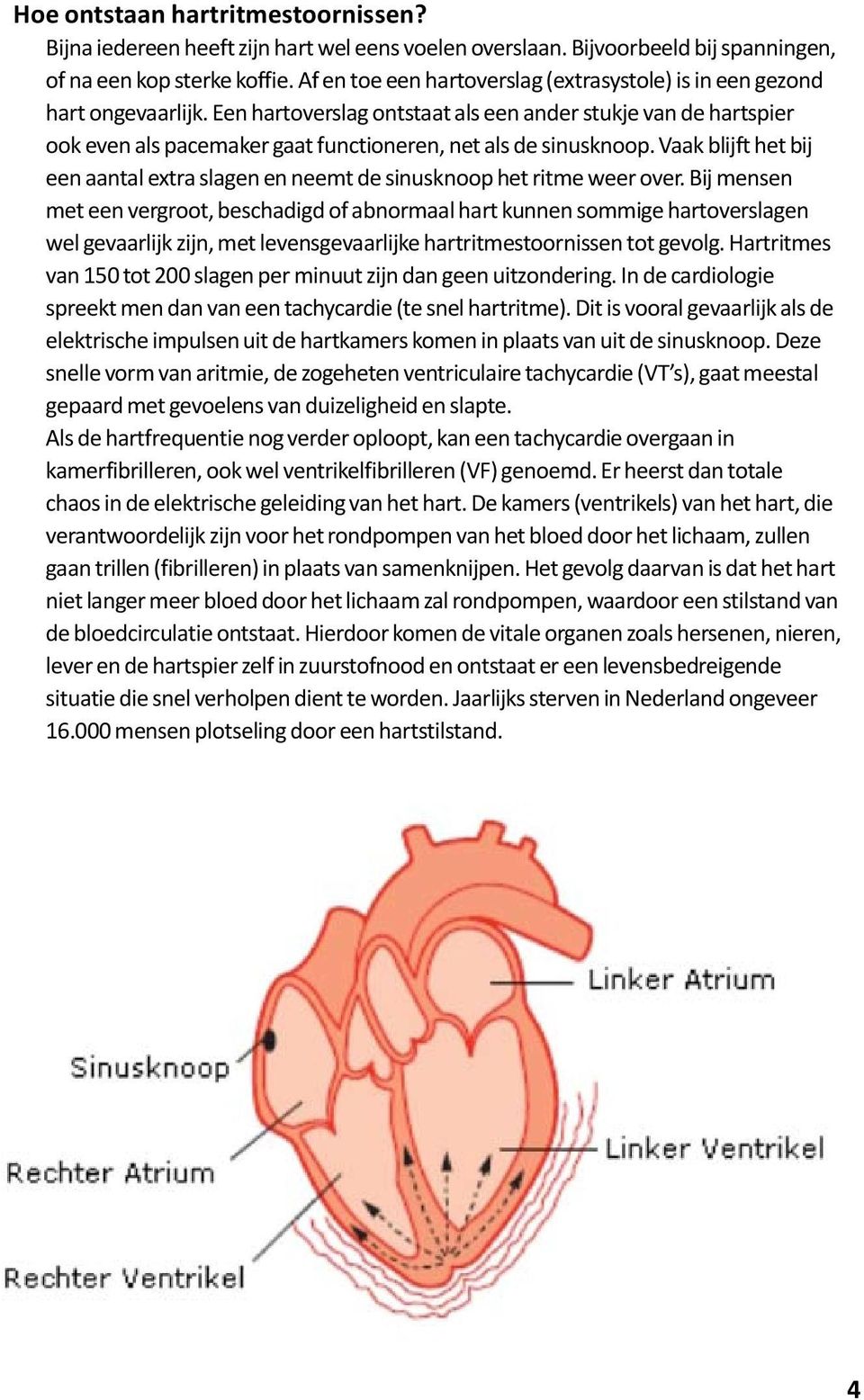 Een hartoverslag ontstaat als een ander stukje van de hartspier ook even als pacemaker gaat functioneren, net als de sinusknoop.