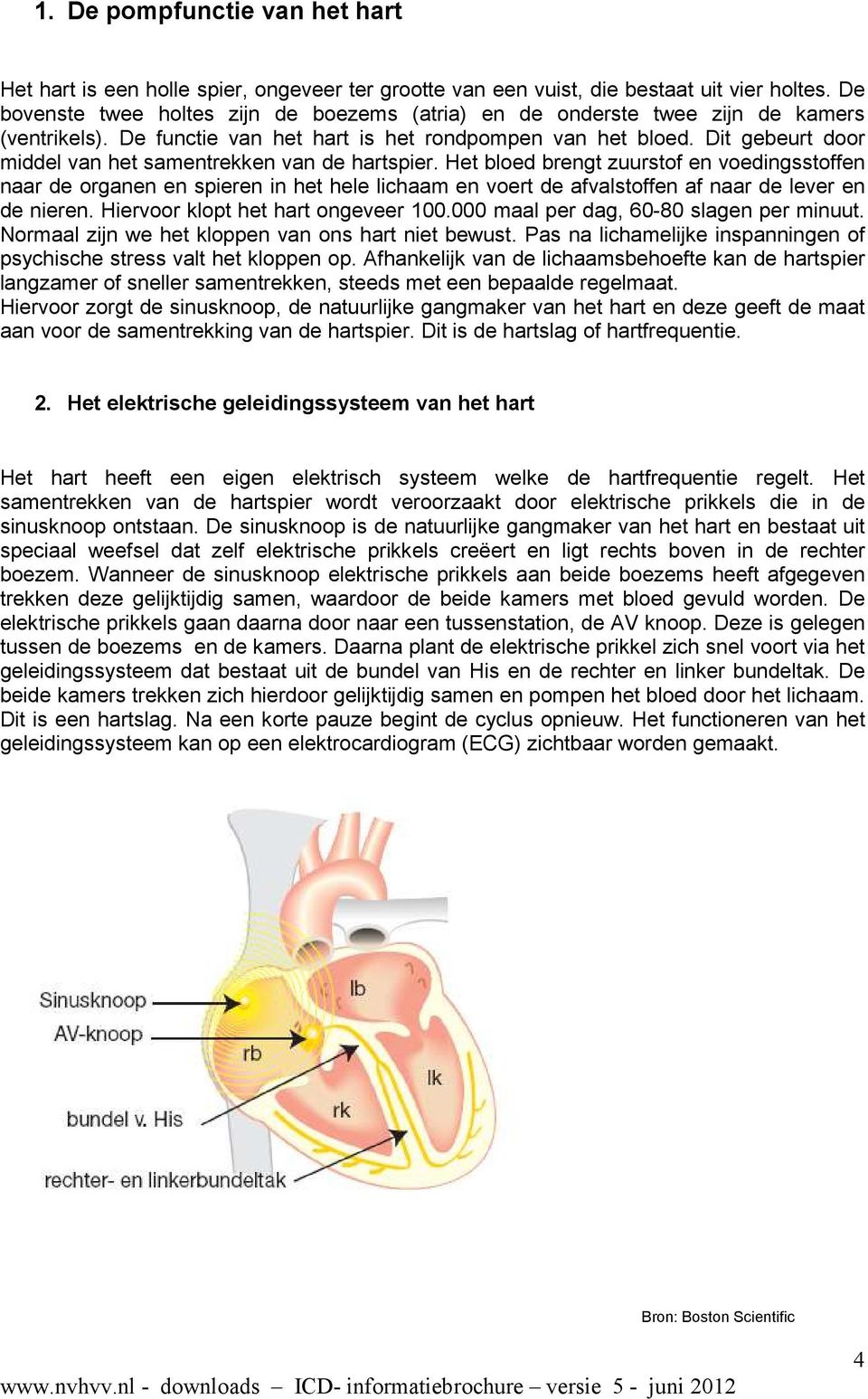 Dit gebeurt door middel van het samentrekken van de hartspier.