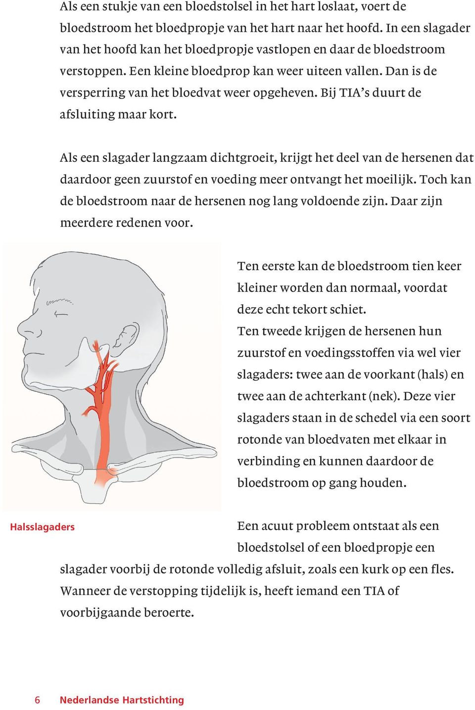 Bij TIA s duurt de afsluiting maar kort. Als een slagader langzaam dichtgroeit, krijgt het deel van de hersenen dat daardoor geen zuurstof en voeding meer ontvangt het moeilijk.