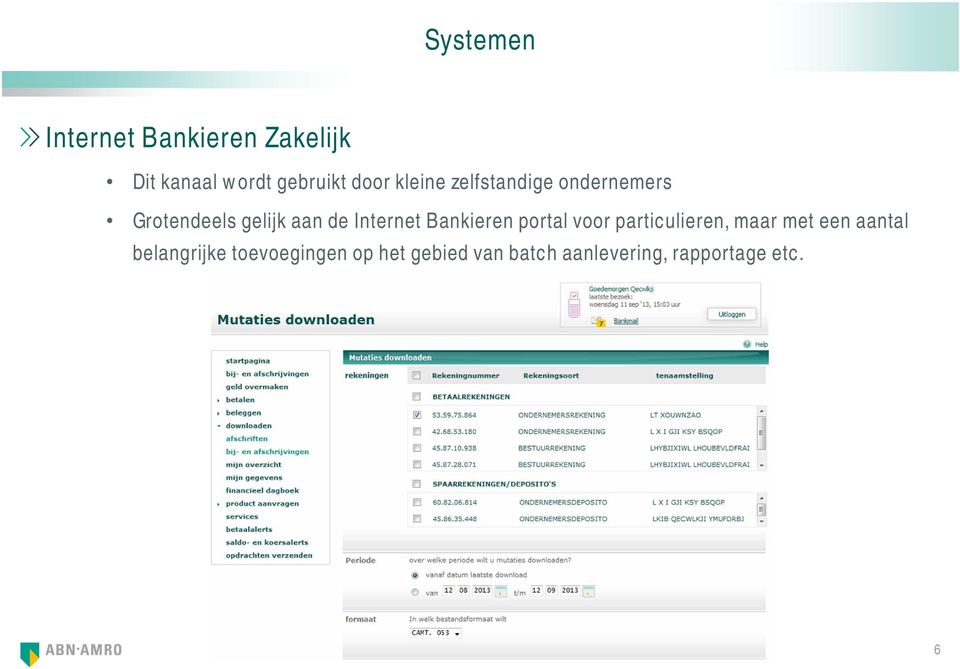 Bankieren portal voor particulieren, maar met een aantal