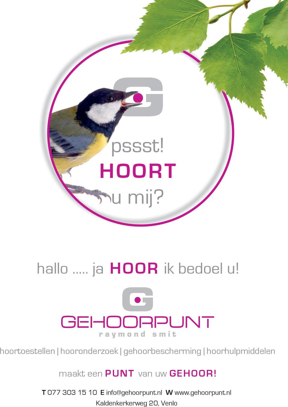 hoorhulpmiddelen maakt een PUNT van uw GEHOOR!