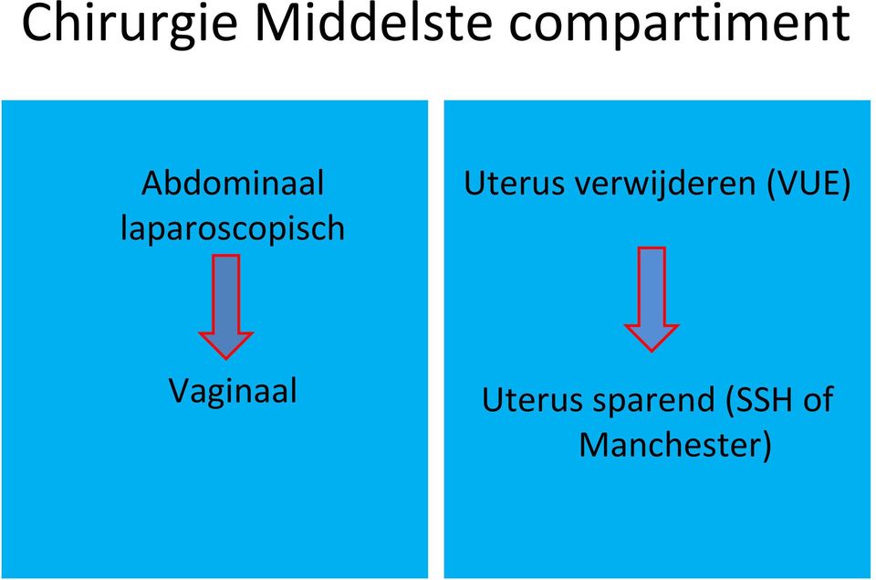 laparoscopisch Uterus