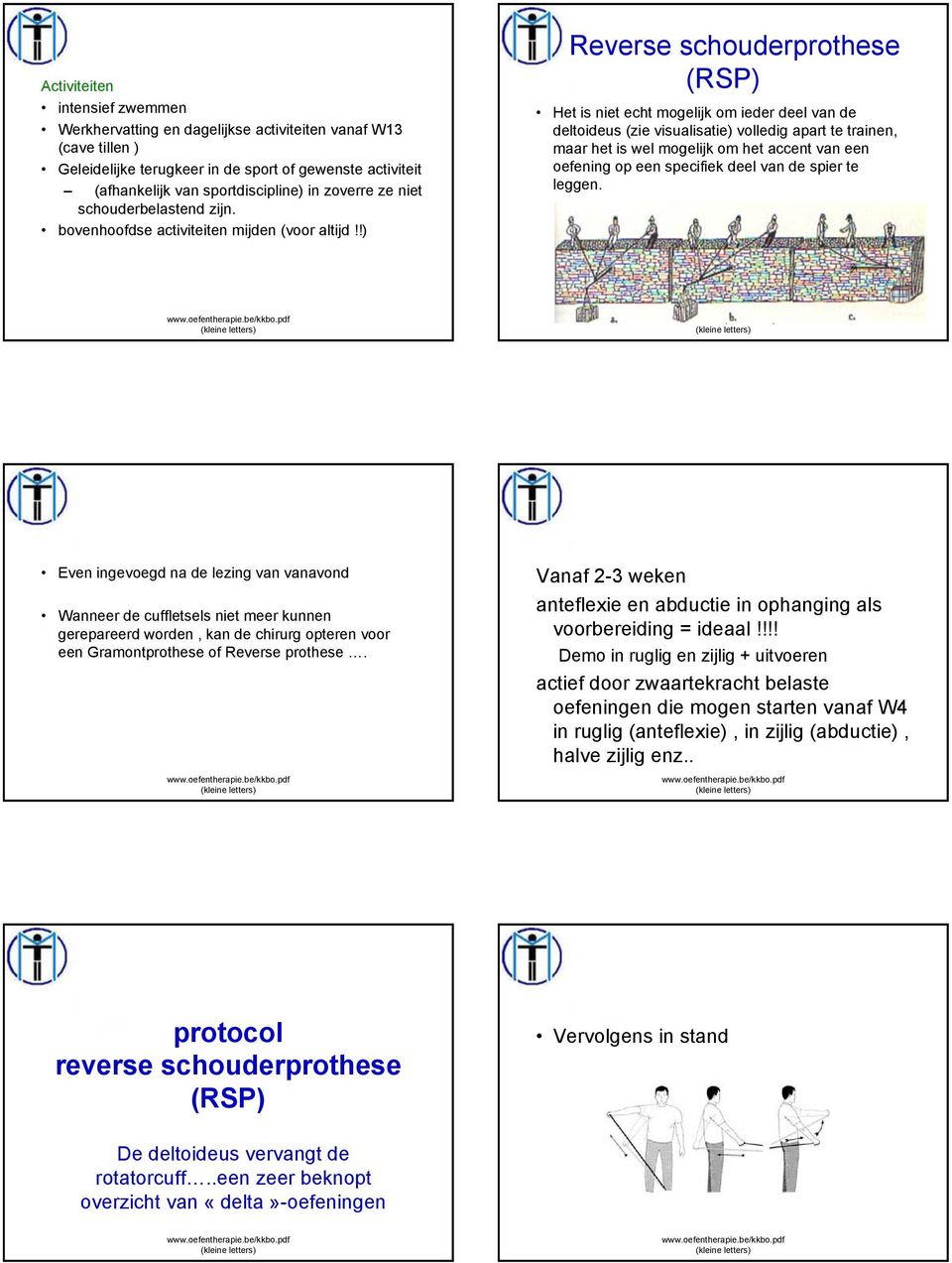 !) Reverse schouderprothese (RSP) Het is niet echt mogelijk om ieder deel van de deltoideus (zie visualisatie) volledig apart te trainen, maar het is wel mogelijk om het accent van een oefening op