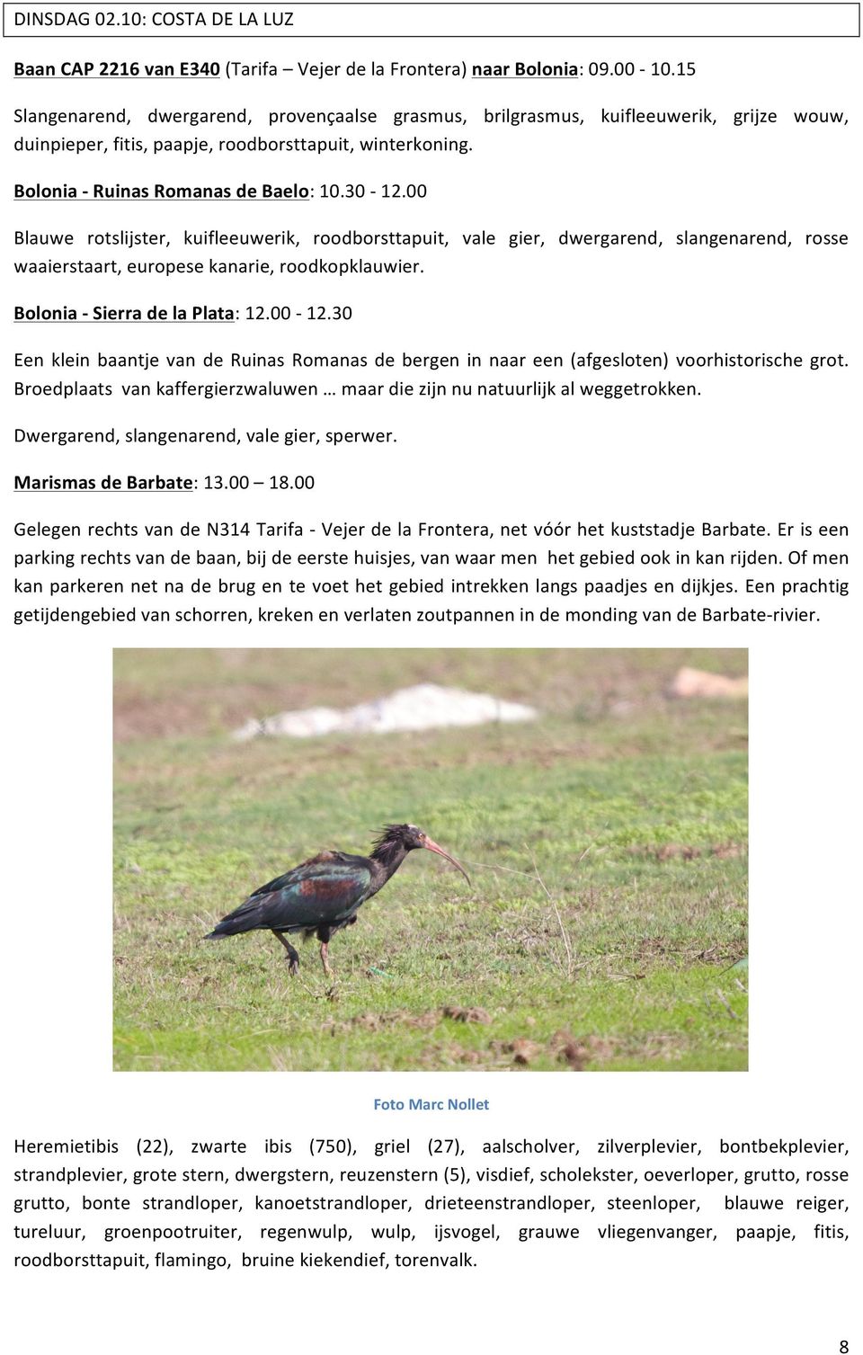 00 Blauwe rotslijster, kuifleeuwerik, roodborsttapuit, vale gier, dwergarend, slangenarend, rosse waaierstaart, europese kanarie, roodkopklauwier. Bolonia - Sierra de la Plata: 12.00-12.