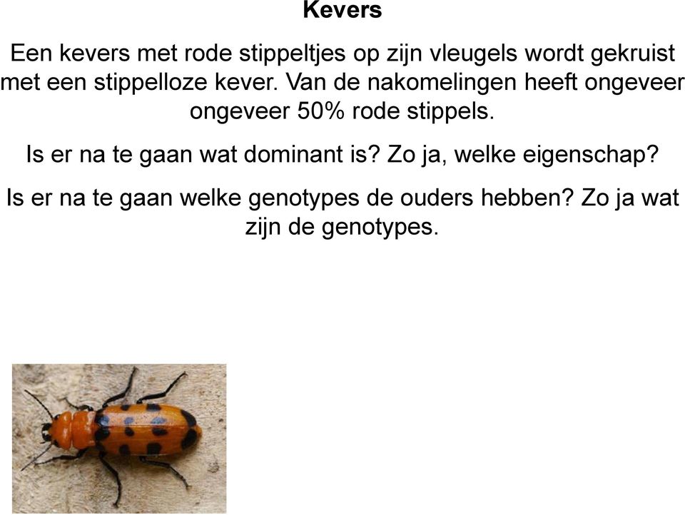 Van de nakomelingen heeft ongeveer ongeveer 50% rode stippels.