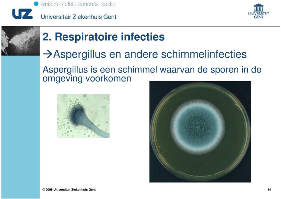 schimmelinfecties Aspergillus is