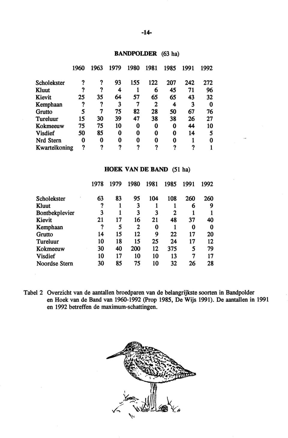 ?????? 1 HOEK VAN DE BAND (51 ha) 1978 1979 1980 1981 1985 1991 1992 Scholekster 63 83 95 104 108 260 260 Kluut? 1 3 1 1 6 9 Bontbekplevier 3 1 3 3 2 1 1 Kievit 21 17 16 21 48 37 40 Kemphaan?