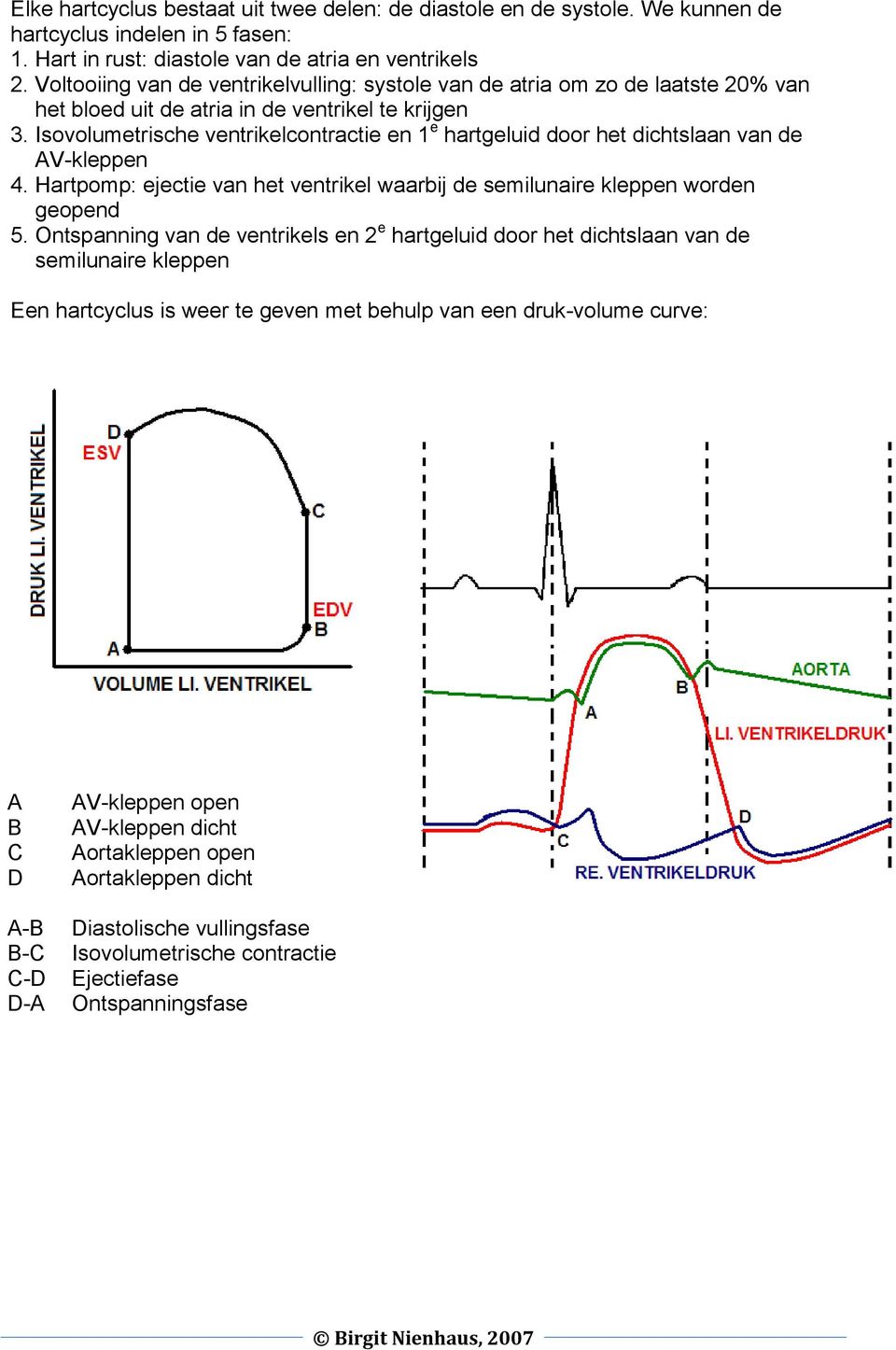 Isovolumetrische ventrikelcontractie en 1 e hartgeluid door het dichtslaan van de AV-kleppen 4. Hartpomp: ejectie van het ventrikel waarbij de semilunaire kleppen worden geopend 5.