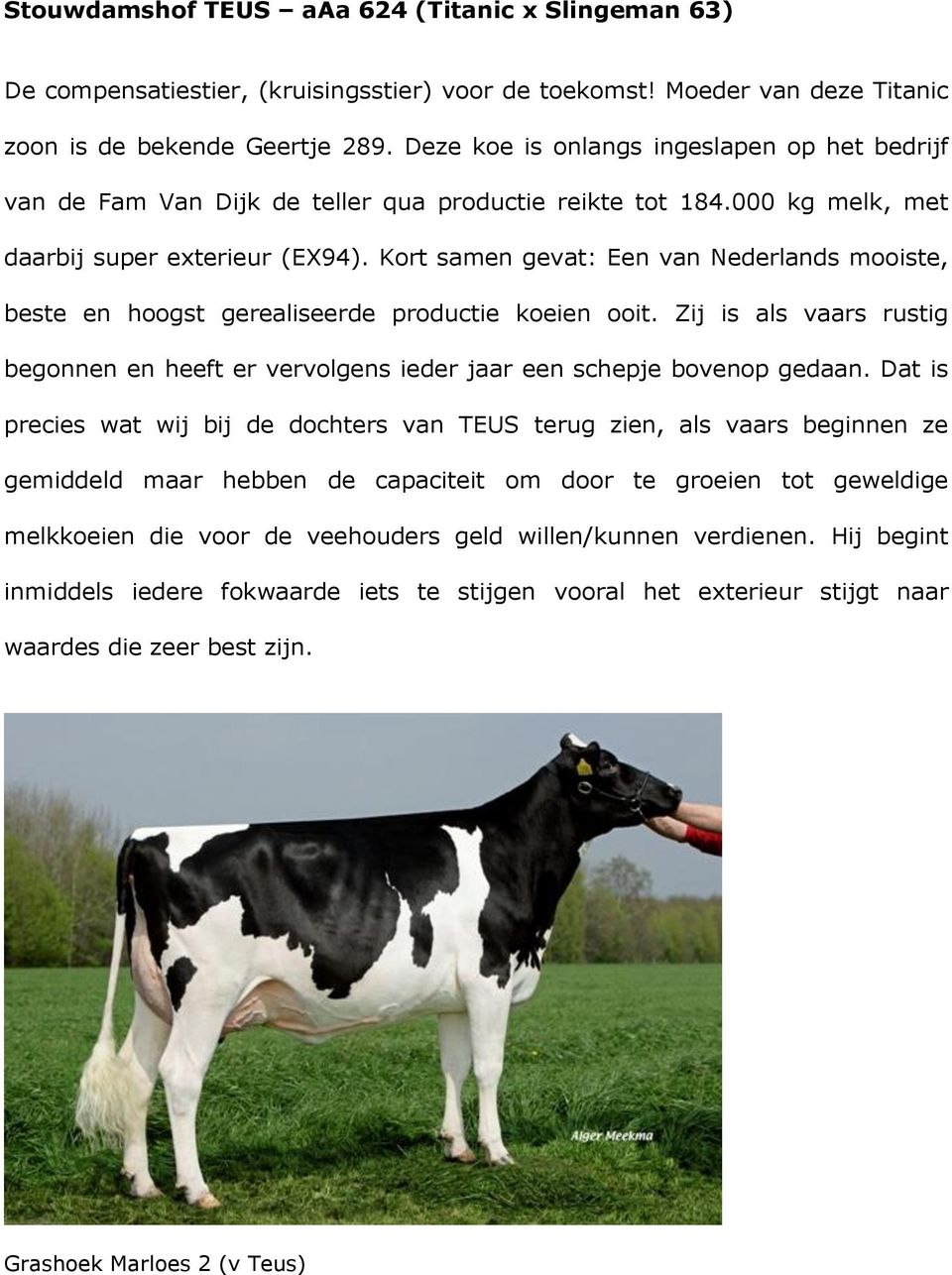 Kort samen gevat: Een van Nederlands mooiste, beste en hoogst gerealiseerde productie koeien ooit. Zij is als vaars rustig begonnen en heeft er vervolgens ieder jaar een schepje bovenop gedaan.