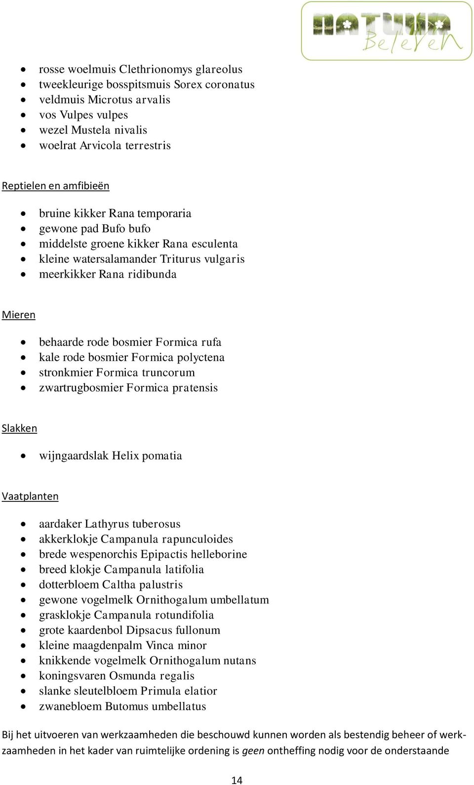 kale rode bosmier Formica polyctena stronkmier Formica truncorum zwartrugbosmier Formica pratensis Slakken wijngaardslak Helix pomatia Vaatplanten aardaker Lathyrus tuberosus akkerklokje Campanula