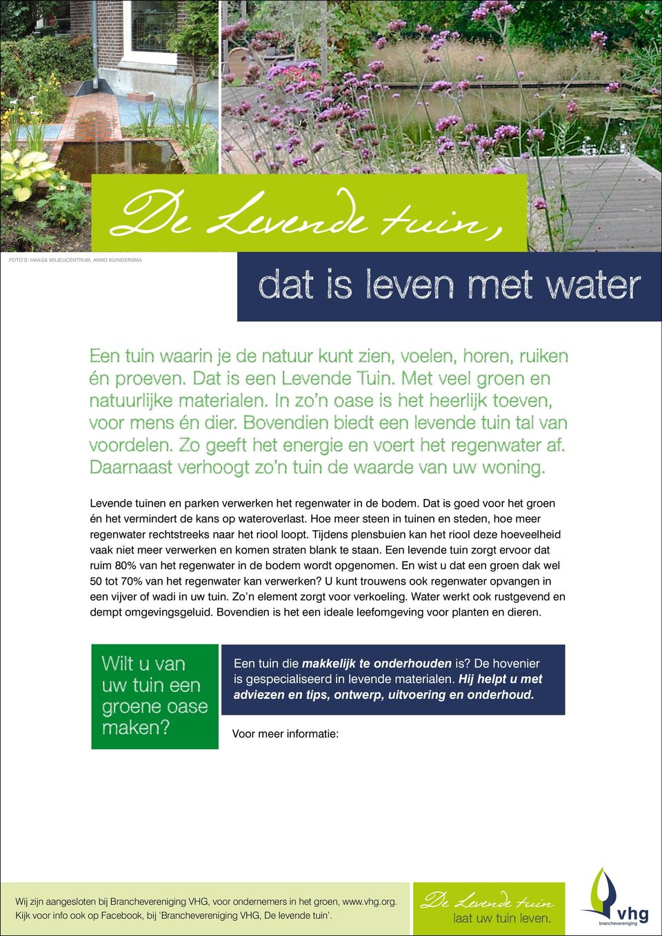 Tijdens plensbuien kan het riool deze hoeveelheid vaak niet meer verwerken en komen straten blank te staan. Een levende tuin zorgt ervoor dat ruim 80% van het regenwater in de bodem wordt opgenomen.