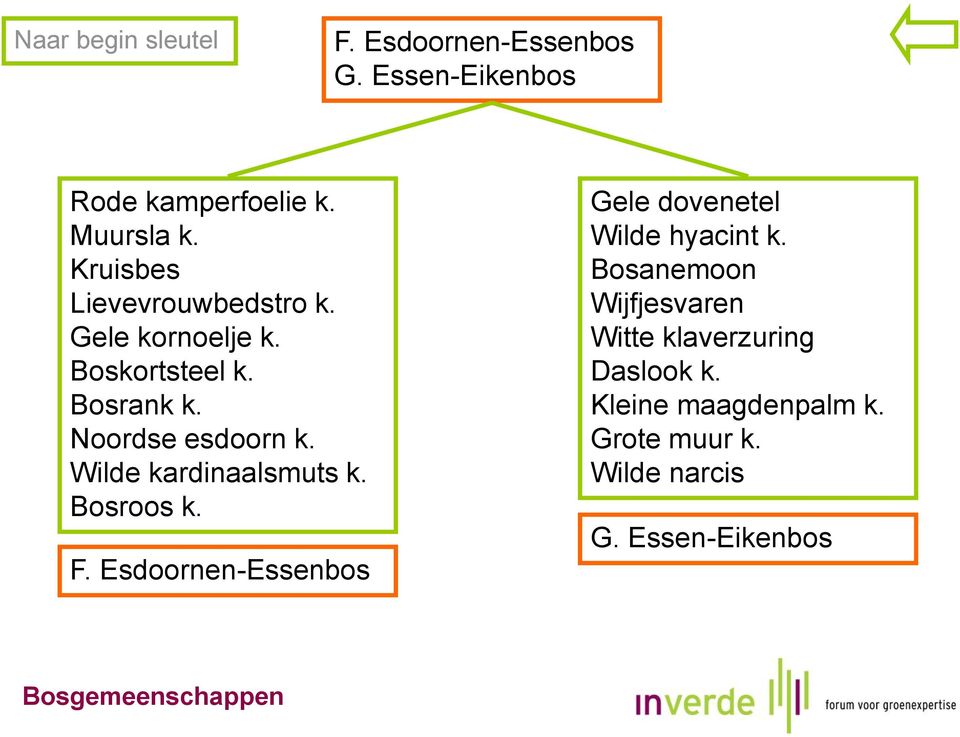 Wilde kardinaalsmuts k. Bosroos k. F. Esdoornen-Essenbos Gele dovenetel Wilde hyacint k.