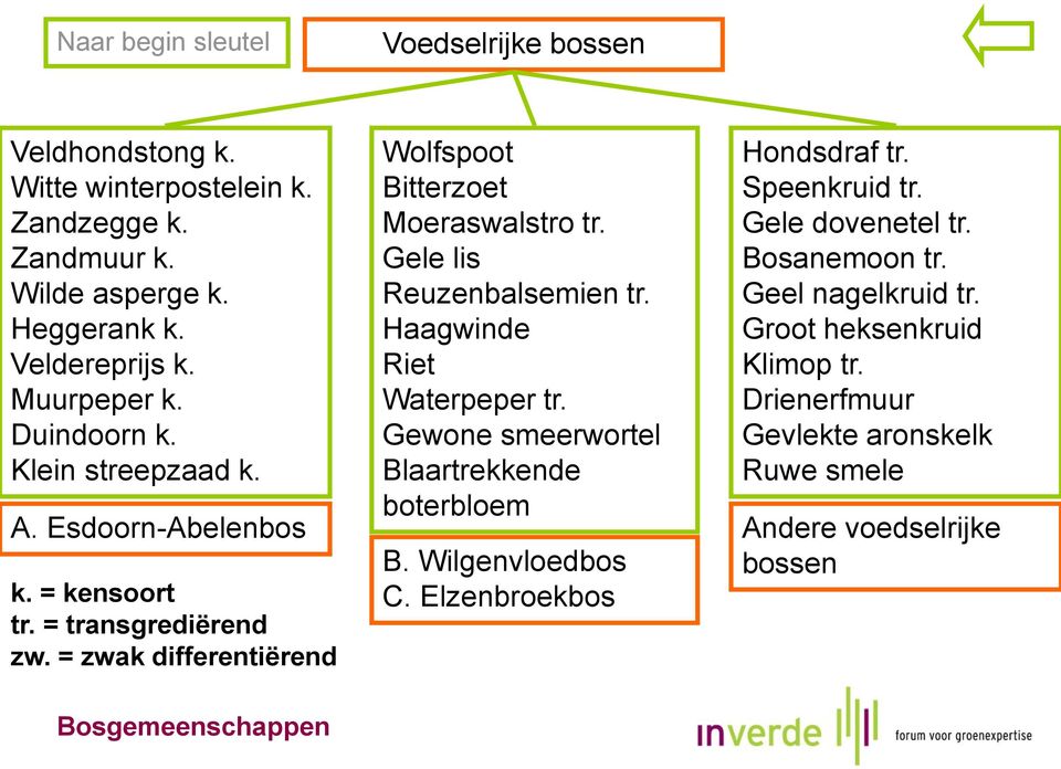 = zwak differentiërend Wolfspoot Bitterzoet Moeraswalstro tr. Gele lis Reuzenbalsemien tr. Haagwinde Riet Waterpeper tr.