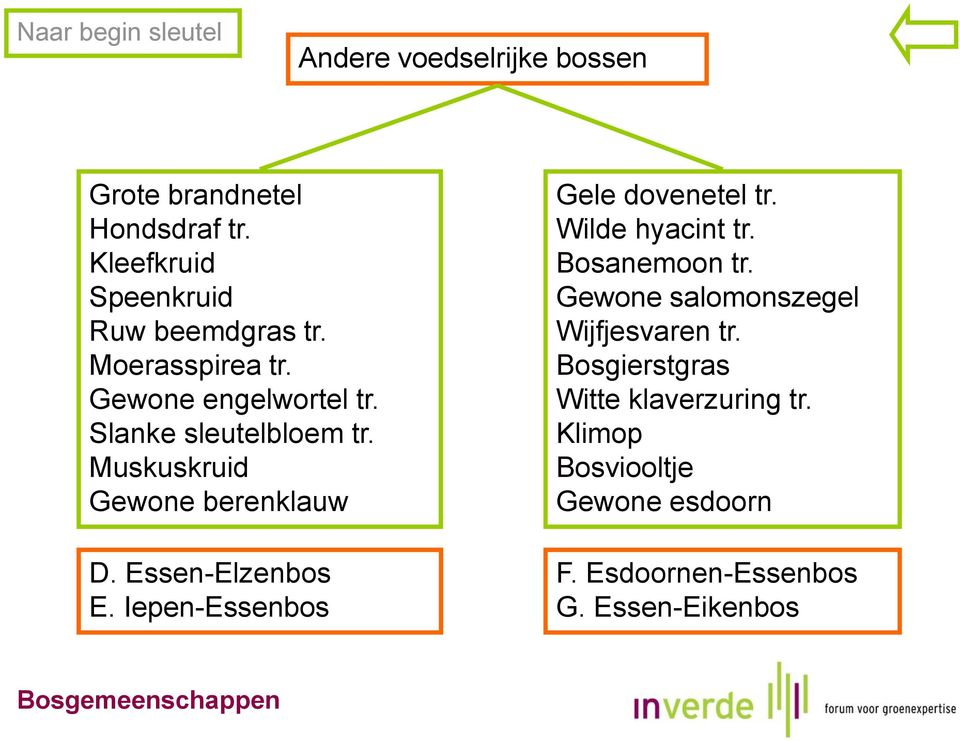 Muskuskruid Gewone berenklauw D. Essen-Elzenbos E. Iepen-Essenbos Gele dovenetel tr. Wilde hyacint tr.