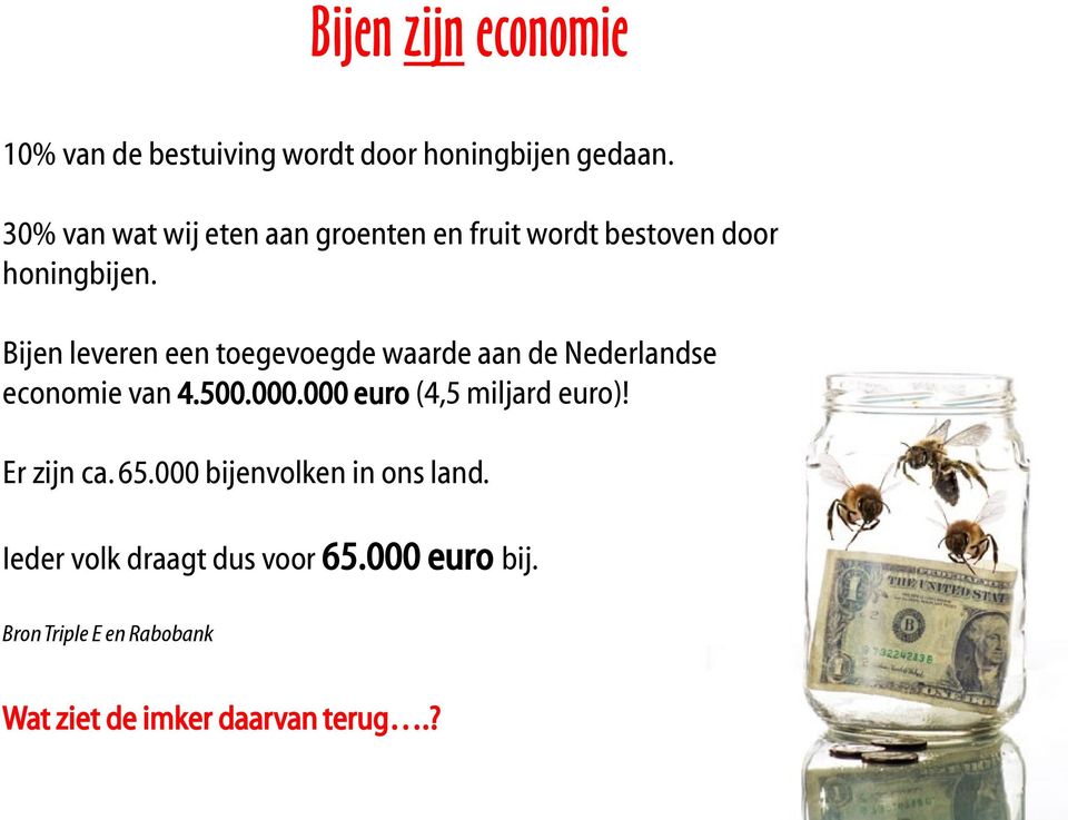 Bijen leveren een toegevoegde waarde aan de Nederlandse economie van 4.500.000.