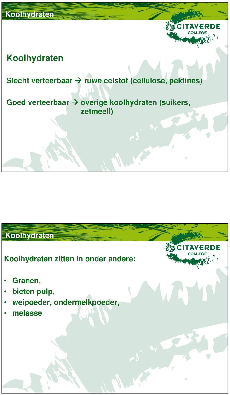 (suikers, zetmeell) Koolhydraten Koolhydraten zitten in