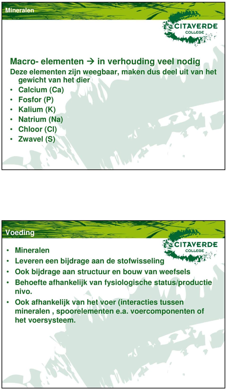 aan de stofwisseling Ook bijdrage aan structuur en bouw van weefsels Behoefte afhankelijk van fysiologische