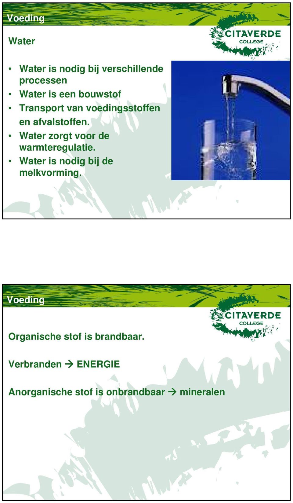 Water zorgt voor de warmteregulatie. Water is nodig bij de melkvorming.