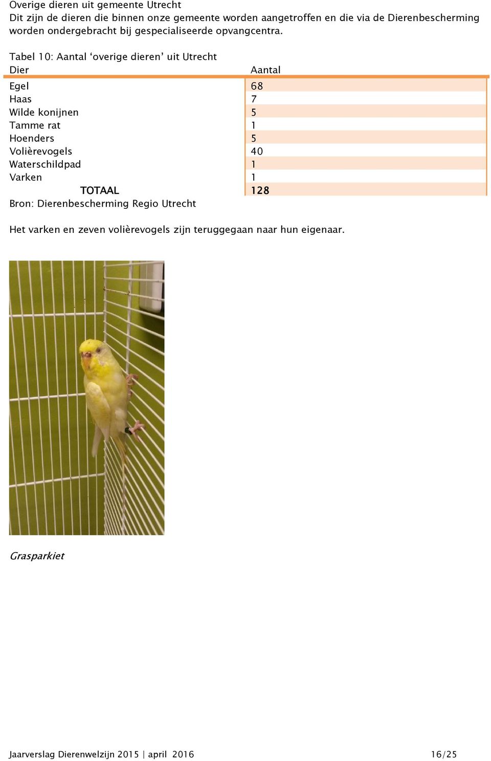 Tabel 10: Aantal overige dieren uit Utrecht Dier Aantal Egel 68 Haas 7 Wilde konijnen 5 Tamme rat 1 Hoenders 5 Volièrevogels 40