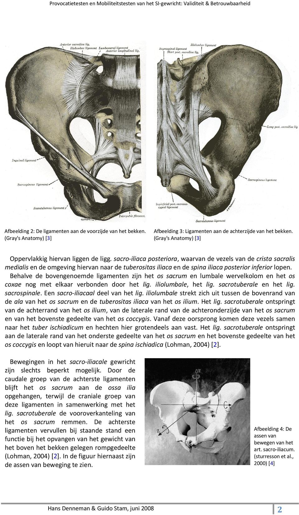 sacro-iliaca posteriora, waarvan de vezels van de crista sacralis medialis en de omgeving hiervan naar de tuberositas iliaca en de spina iliaca posterior inferior lopen.