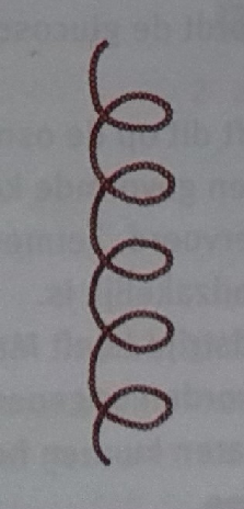 Afbeelding 16. -glucose en -glucose1. Zetmeel: is een polysacharide. een zetmeelmolecuul (amylose) wordt door condensatiereacties opgebouwd uit ± 6000 -glucose-moleculen.