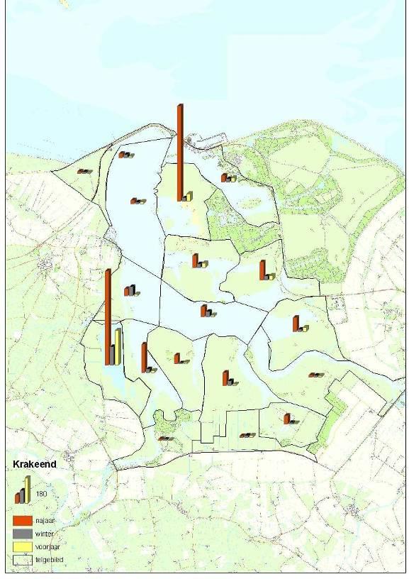 Wintertaling Huidig voorkomen en trend Het Lauwersmeergebied behoort tot de belangrijkste gebieden van de wintertaling in Nederland.