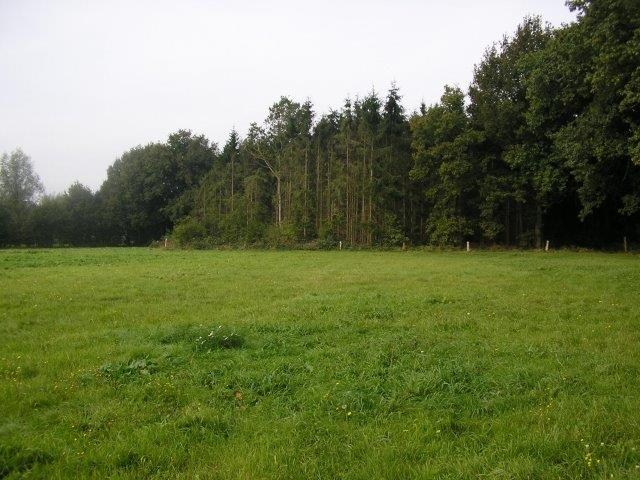 U heeft prachtig uitzicht op weilanden, een wetering, meidoornhagen en knotwilgen en het aangrenzende bos biedt beschutting tegen de noordwestenwind. De ligging is gunstig t.o.v. de zon.