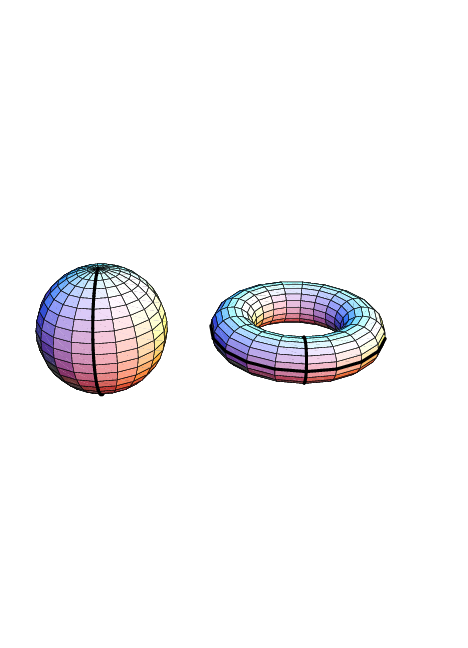 Meetkunde en topologie II Voorbeeld Algebraïsche Topologie Waarom zijn deze beide oppervlakken verschillend?