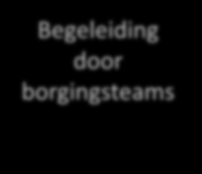 begeleiden op de werkplek Begeleiding door borgingsteams Teams/eindgebruikers Leren werken met EPD &