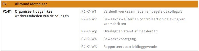 1.2 Kerntaken en werkprocessen Wat je moet kennen en kunnen staat beschreven in de kerntaken. Bij elke kerntaak hoort een aantal werkprocessen.