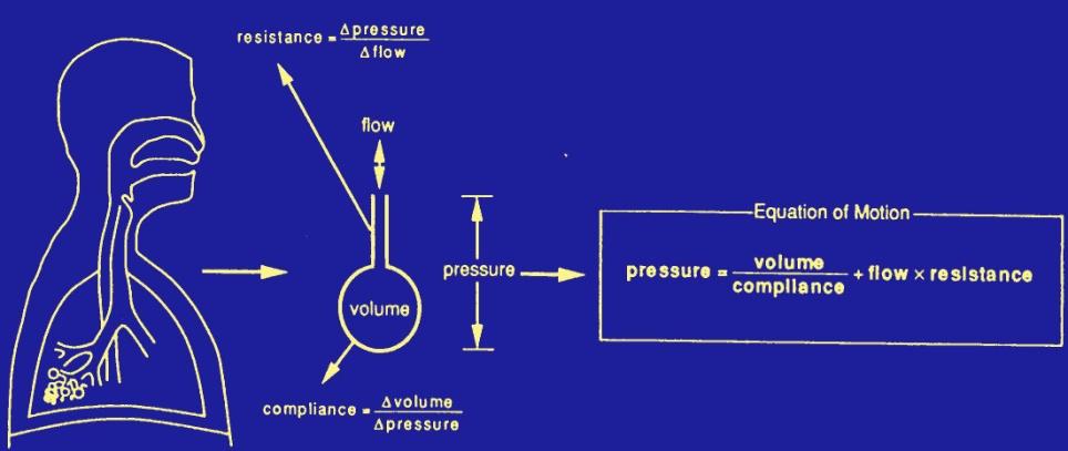 Enkele begrippen Statische long compliance Dynamische long compliance Dode ruimte ventilatie Anatomisch Vd