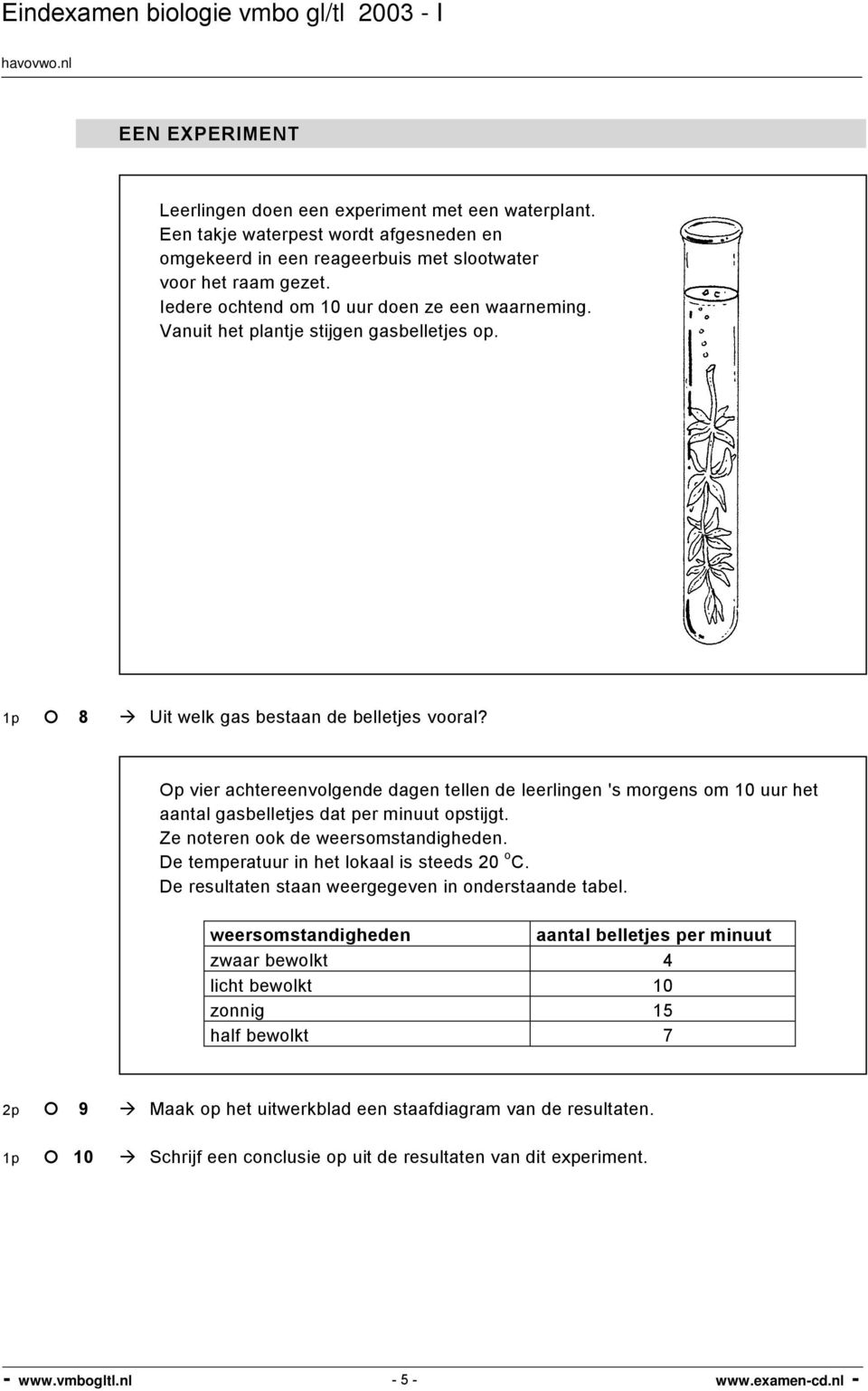 Op vier achtereenvolgende dagen tellen de leerlingen 's morgens om 10 uur het aantal gasbelletjes dat per minuut opstijgt. Ze noteren ook de weersomstandigheden.