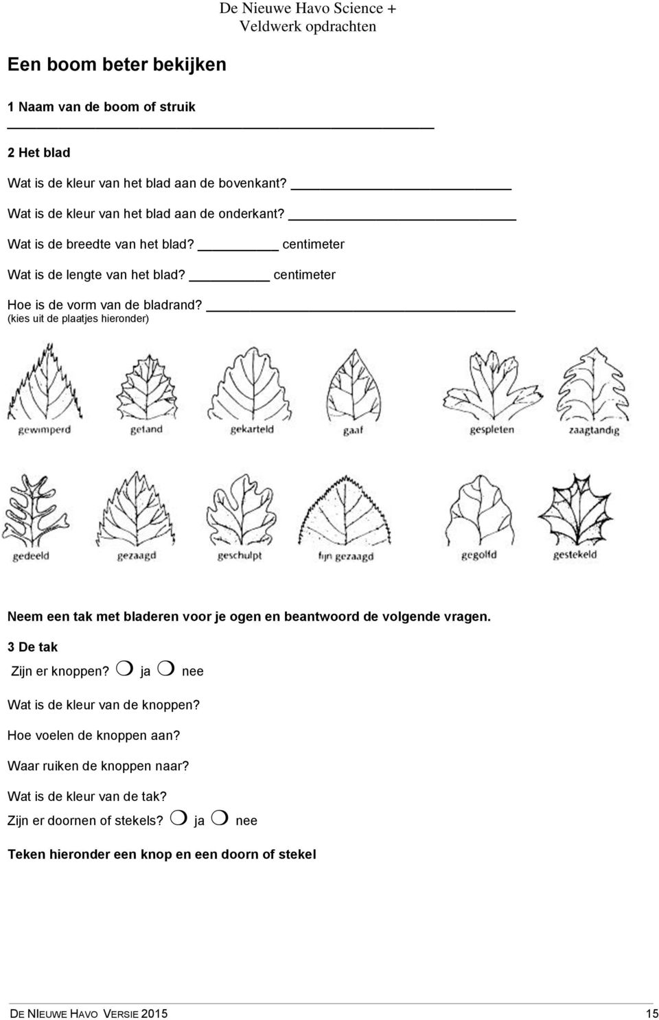 (kies uit de plaatjes hieronder) Neem een tak met bladeren voor je ogen en beantwoord de volgende vragen. 3 De tak Zijn er knoppen?