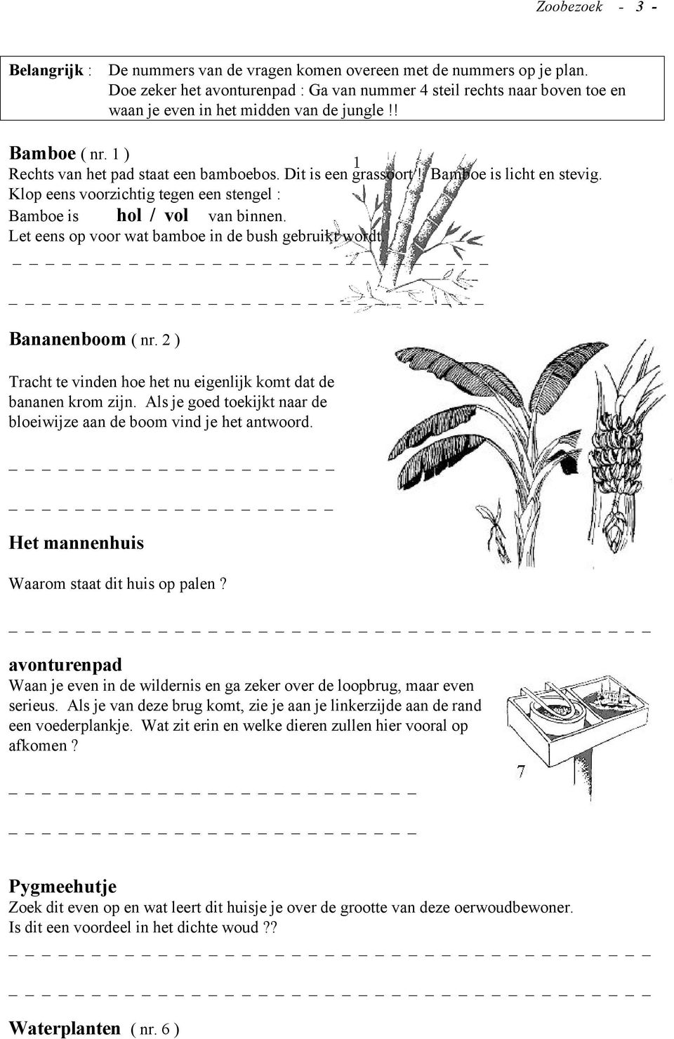 Bamboe is licht en stevig. Klop eens voorzichtig tegen een stengel : Bamboe is hol / vol van binnen. Let eens op voor wat bamboe in de bush gebruikt wordt. Bananenboom ( nr.