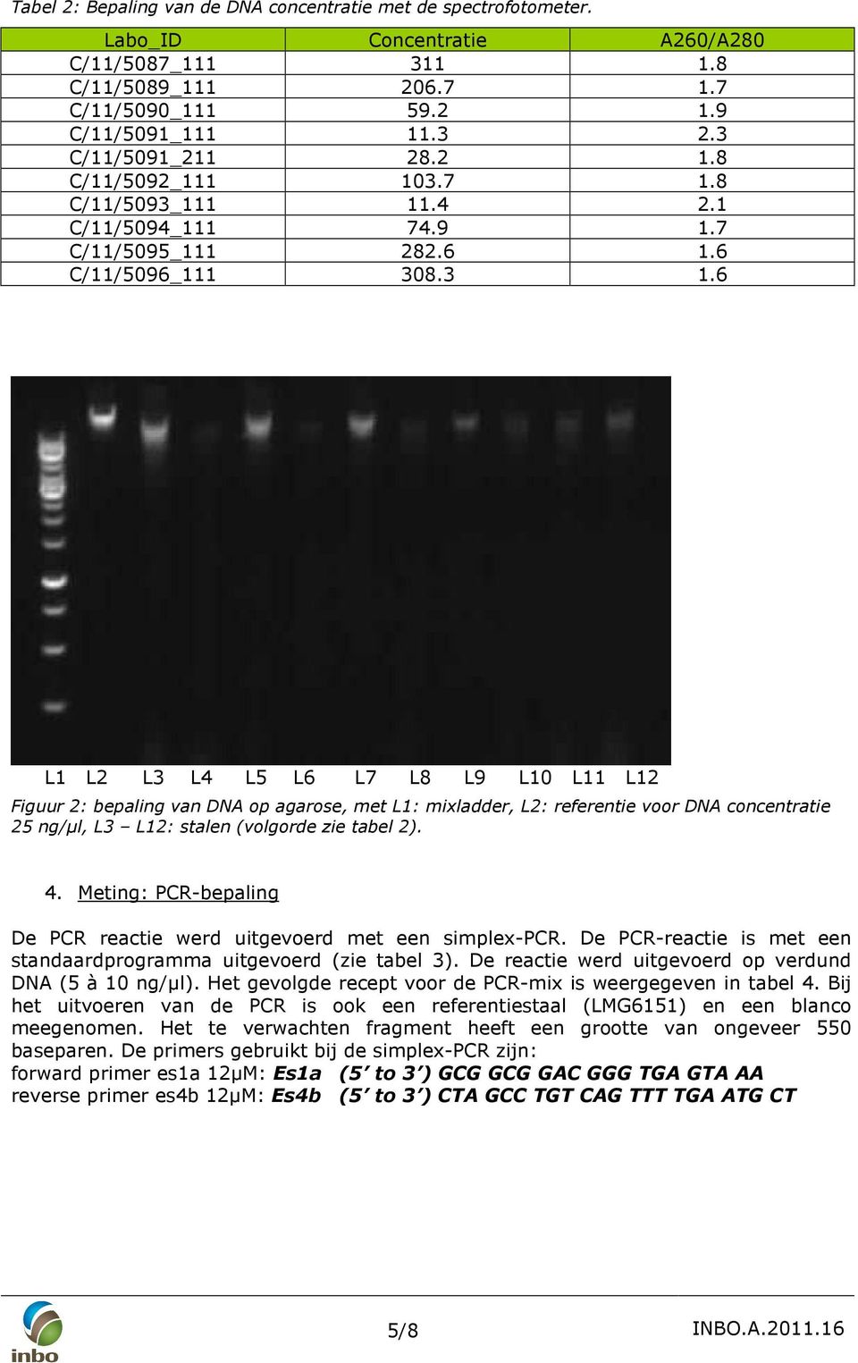 6 L1 L2 L3 L4 L5 L6 L7 L8 L9 L10 L11 L12 Figuur 2: bepaling van DNA op agarose, met L1: mixladder, L2: referentie voor DNA concentratie 25 ng/µl, L3 L12: stalen (volgorde zie tabel 2). 4.