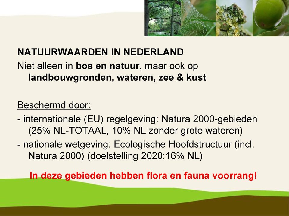 (25% NL-TOTAAL, 10% NL zonder grote wateren) - nationale wetgeving: Ecologische
