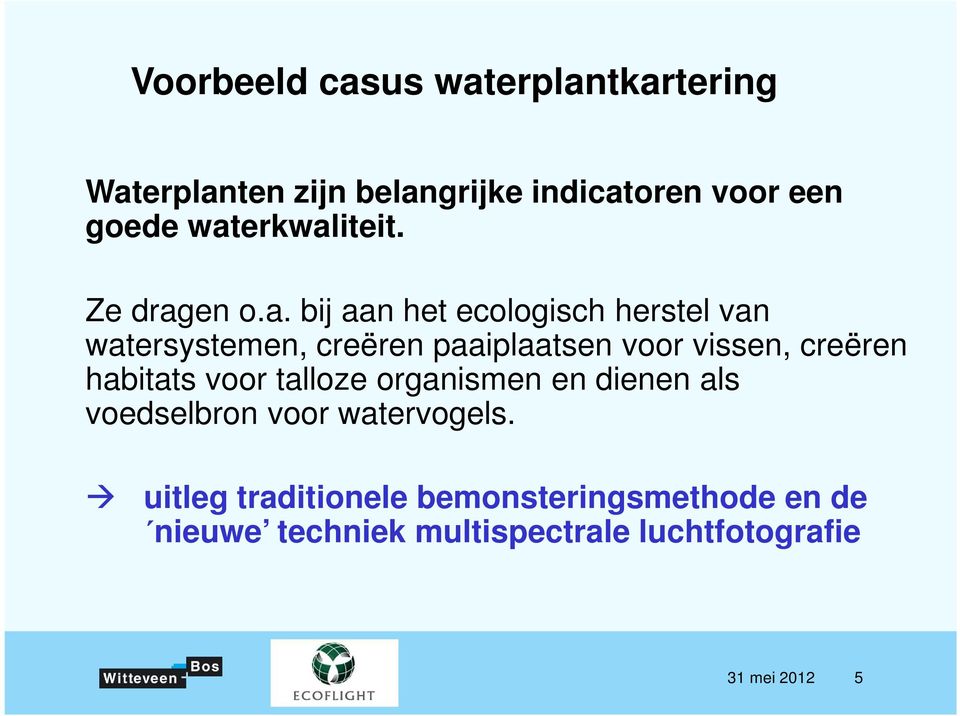 paaiplaatsen voor vissen, creëren habitats voor talloze organismen en dienen als voedselbron