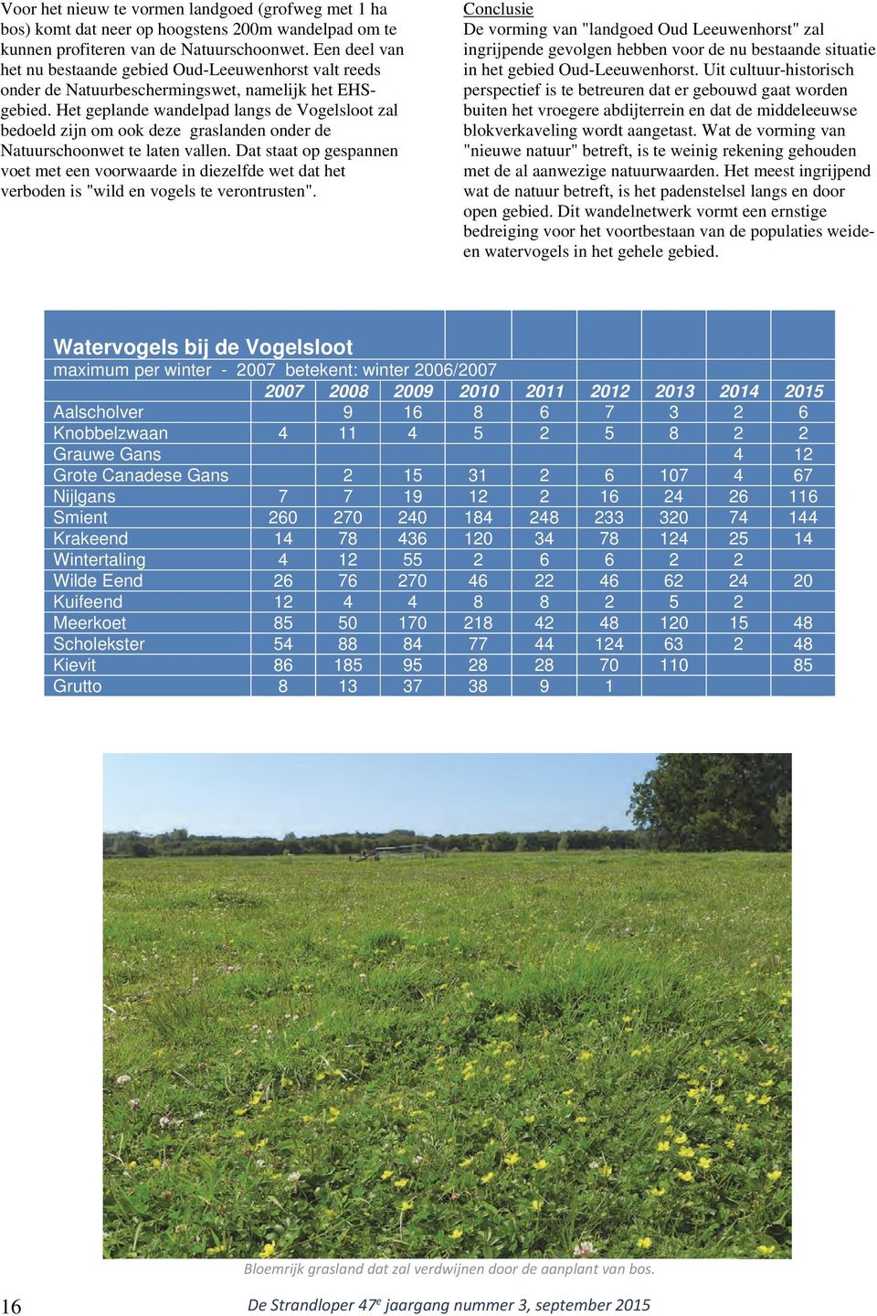 Het geplande wandelpad langs de Vogelsloot zal bedoeld zijn om ook deze graslanden onder de Natuurschoonwet te laten vallen.