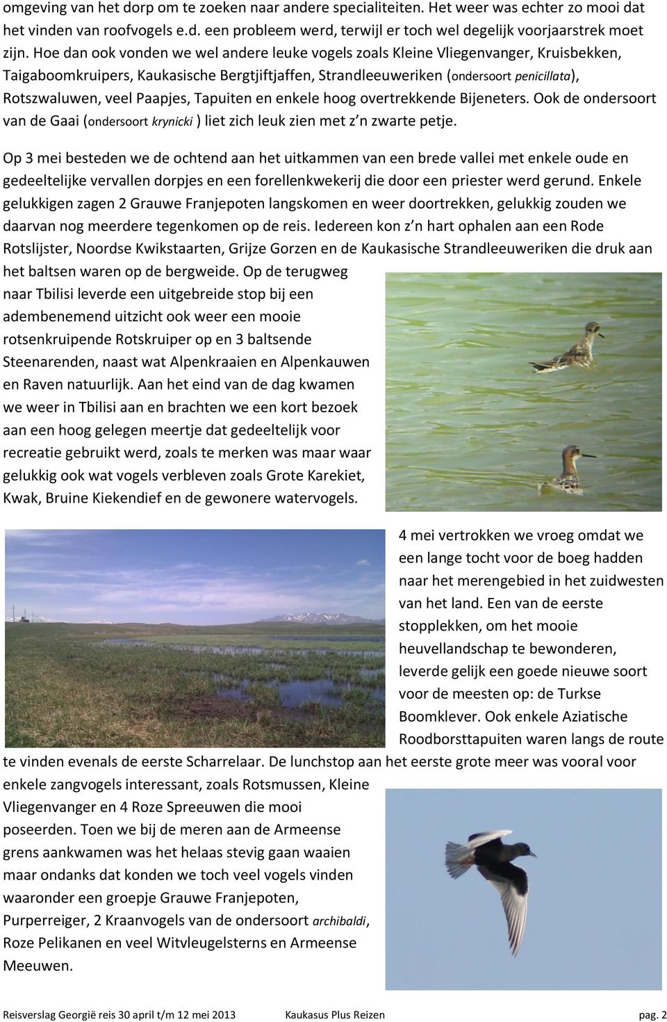 Paapjes, Tapuiten en enkele hoog overtrekkende Bijeneters. Ook de ondersoort van de Gaai (ondersoort krynicki ) liet zich leuk zien met z n zwarte petje.