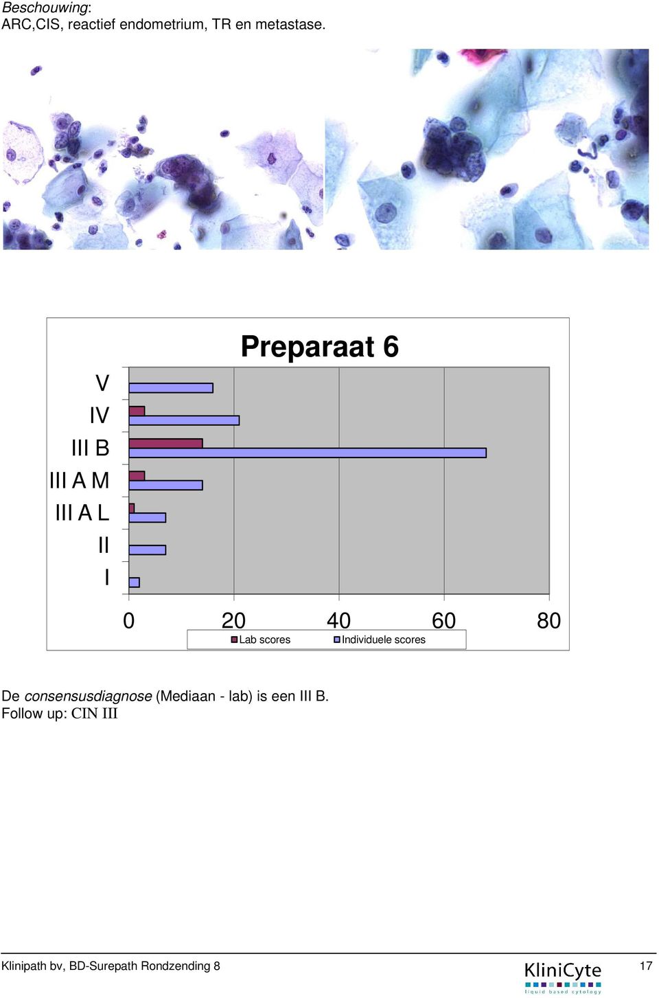 B A M A L Preparaat 6 0 20 40 60 80 Lab scores