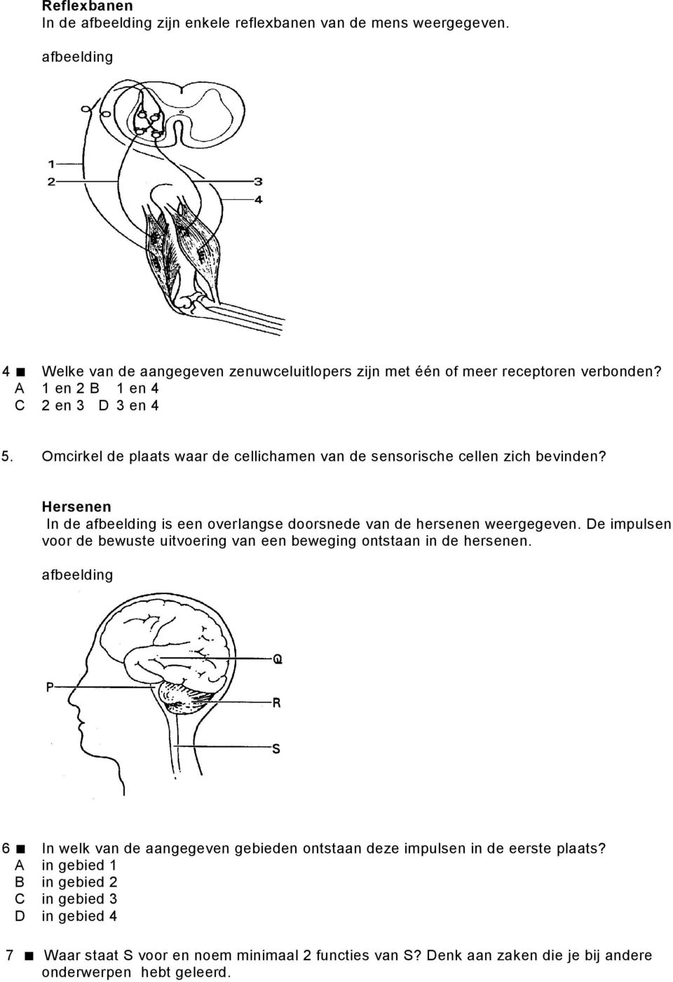 Hersenen In de afbeelding is een overlangse doorsnede van de hersenen weergegeven. De impulsen voor de bewuste uitvoering van een beweging ontstaan in de hersenen.