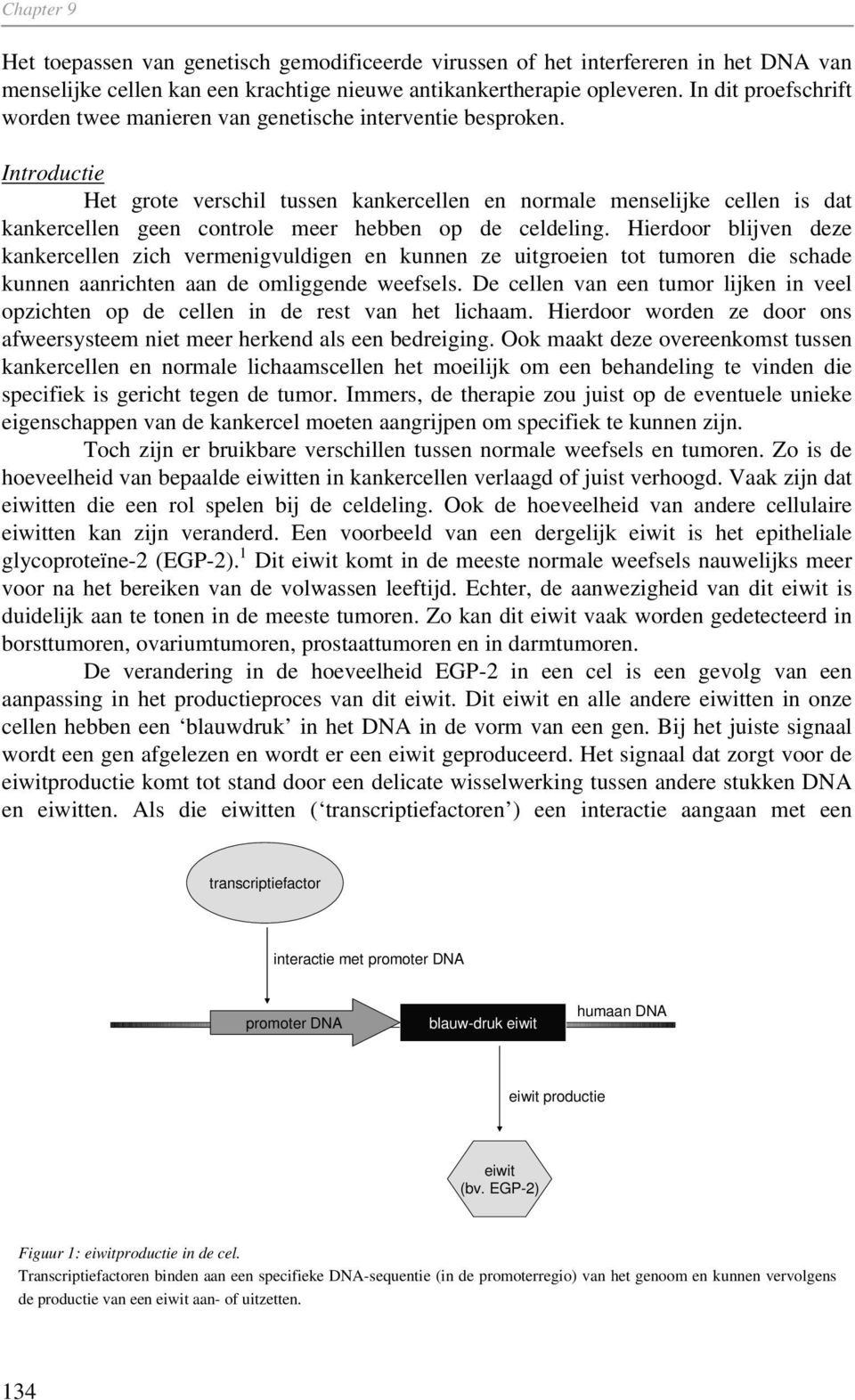 Introductie Het grote verschil tussen kankercellen en normale menselijke cellen is dat kankercellen geen controle meer hebben op de celdeling.