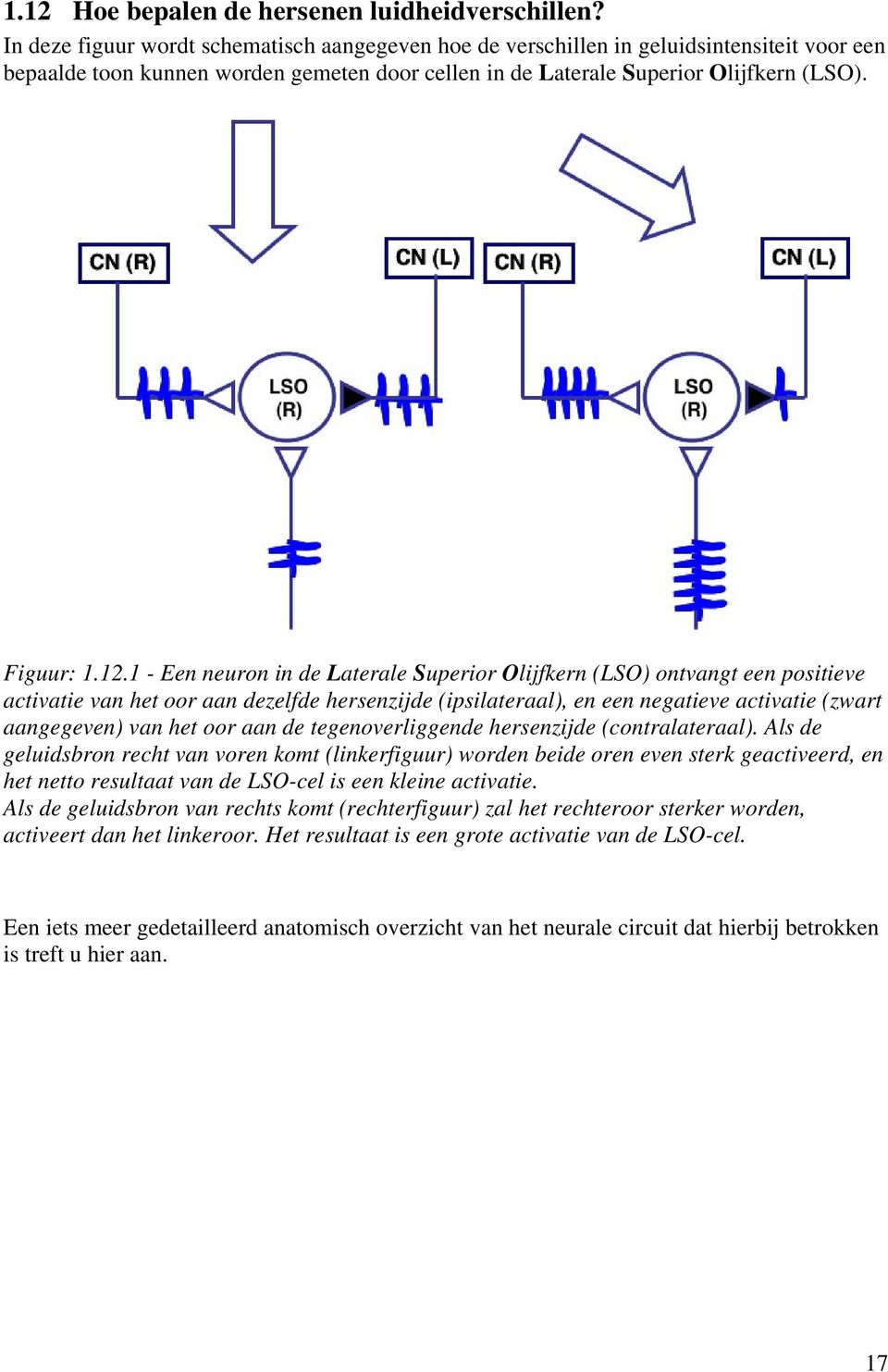 1 - Een neuron in de Laterale Superior Olijfkern (LSO) ontvangt een positieve activatie van het oor aan dezelfde hersenzijde (ipsilateraal), en een negatieve activatie (zwart aangegeven) van het oor