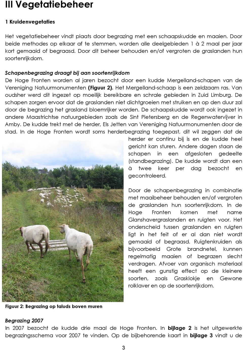 Schapenbegrazing draagt bij aan soortenrijkdom De Hoge Fronten worden al jaren bezocht door een kudde Mergelland-schapen van de Vereniging Natuurmonumenten (Figuur 2).