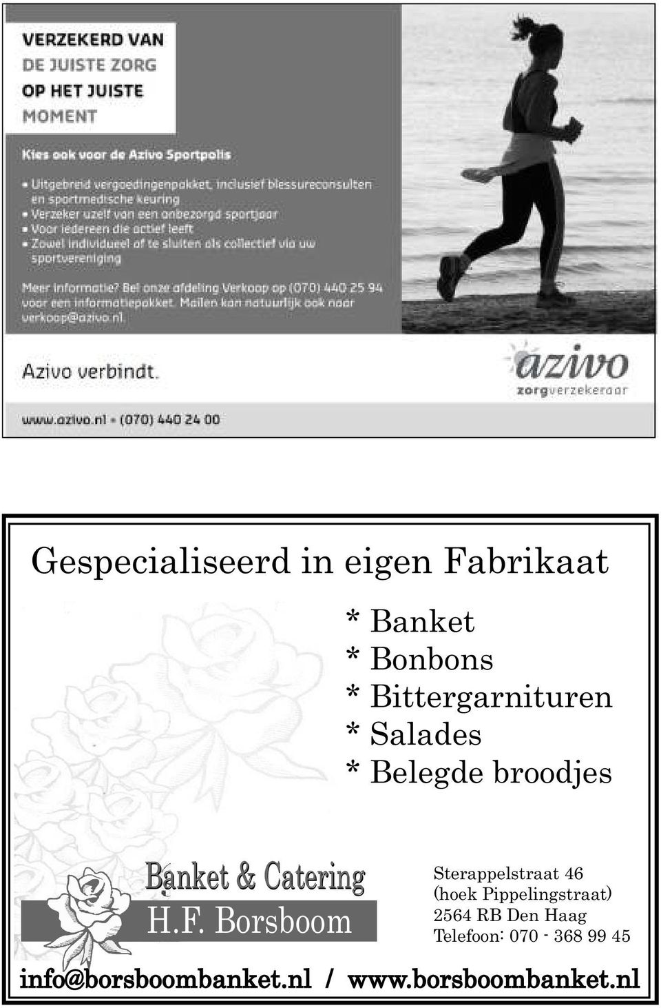 F. Borsboom Sterappelstraat 46 (hoek Pippelingstraat) 2564 RB Den