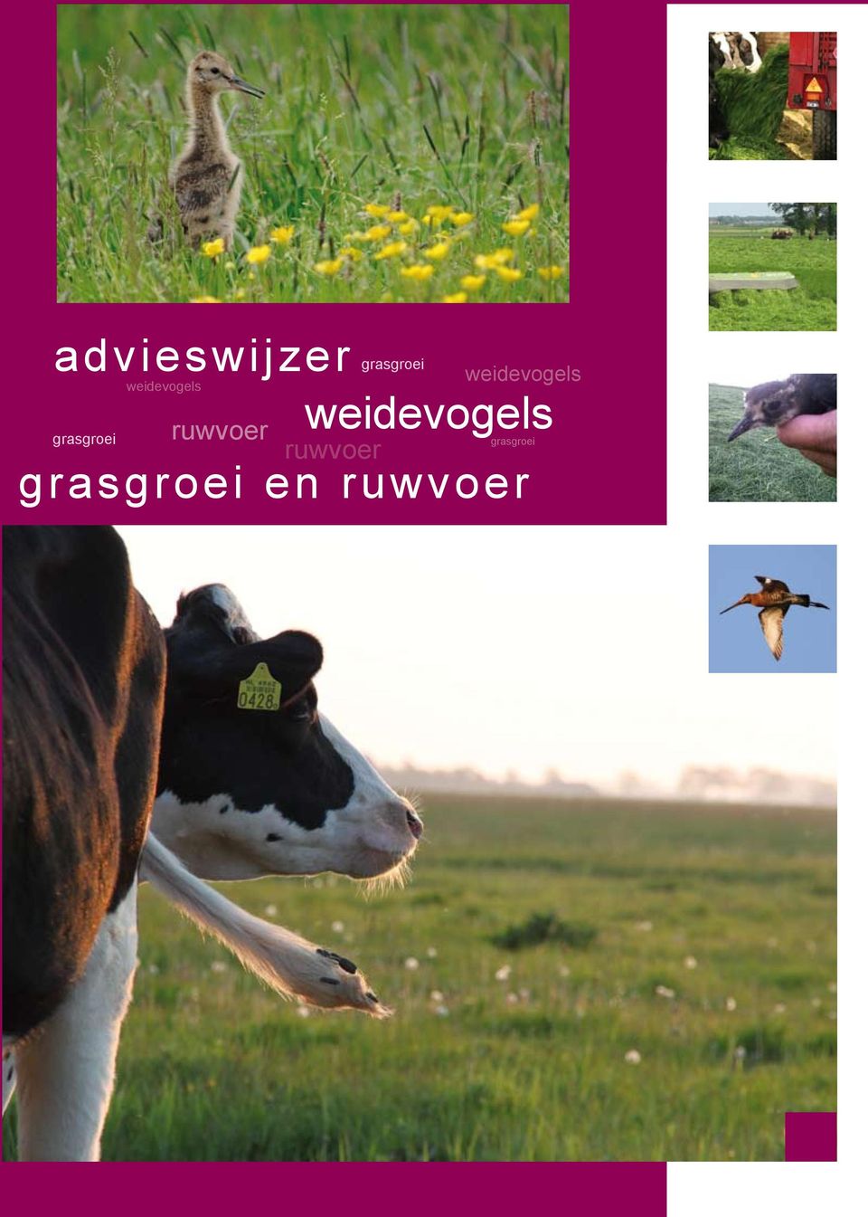 grasgroei ruwvoer ruwvoer