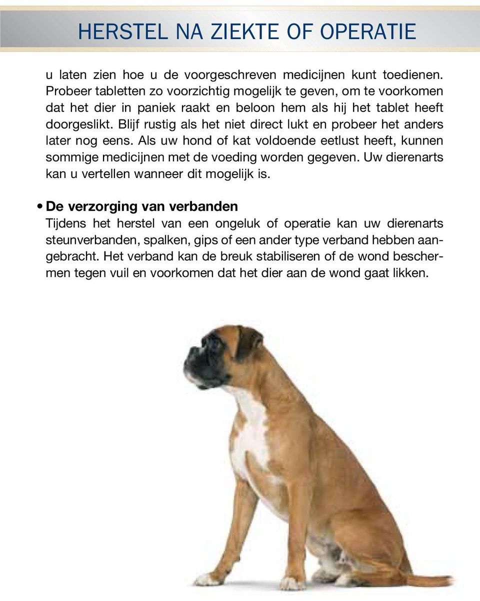 Blijf rustig als het niet direct lukt en probeer het anders later nog eens. Als uw hond of kat voldoende eetlust heeft, kunnen sommige medicijnen met de voeding worden gegeven.