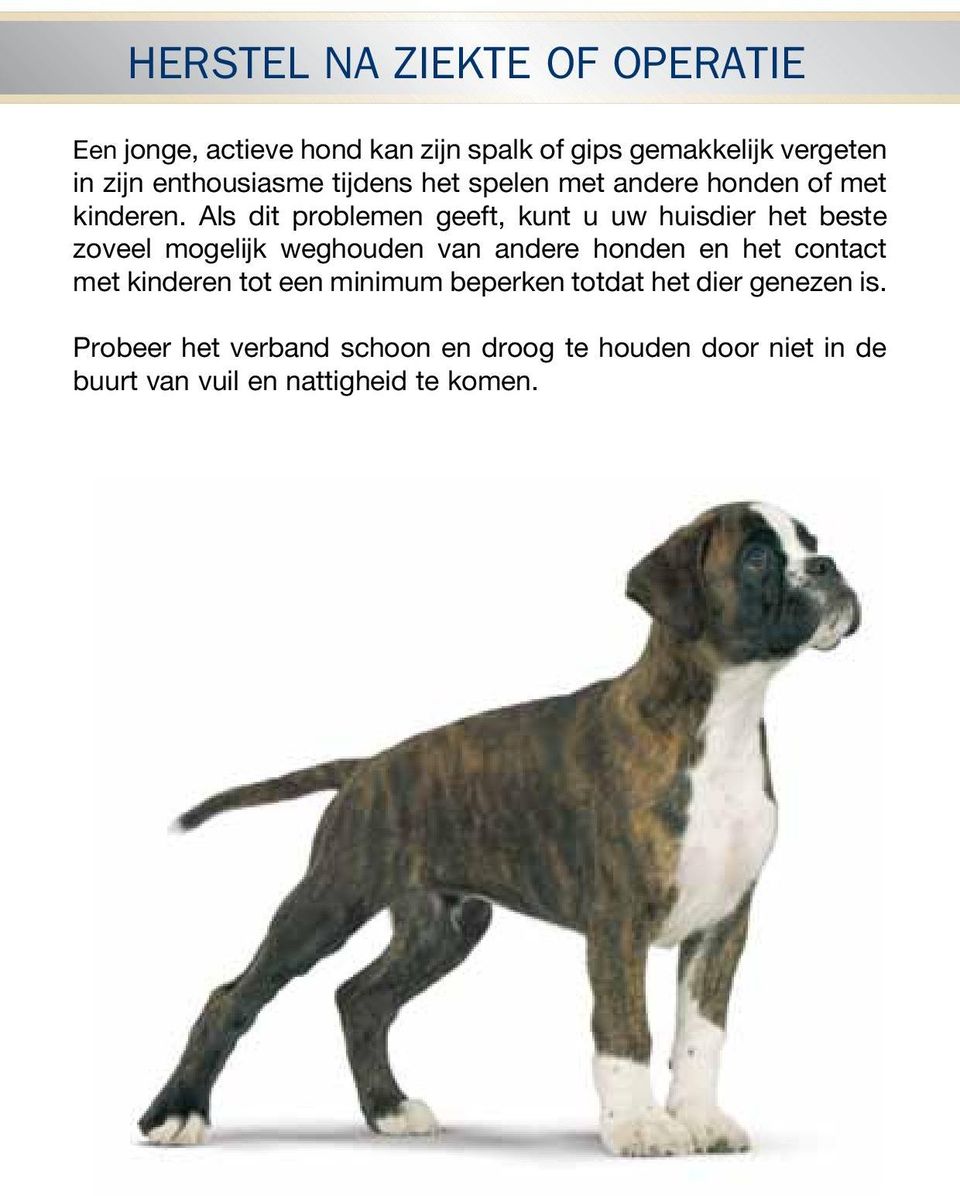 Als dit problemen geeft, kunt u uw huisdier het beste zoveel mogelijk weghouden van andere honden en het contact