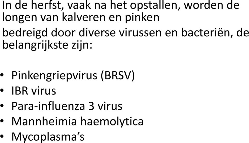 bacteriën, de belangrijkste zijn: Pinkengriepvirus (BRSV)